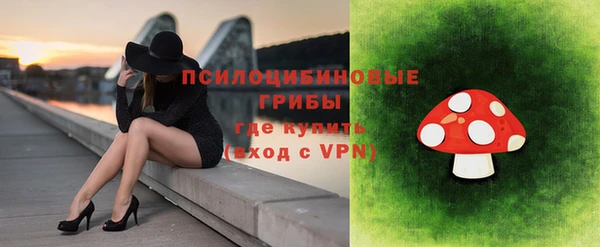 spice Арсеньев