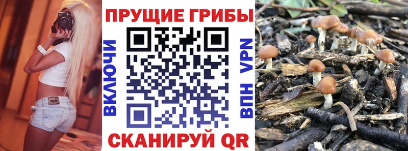 Галлюциногенные грибы MAGIC MUSHROOMS  Кубинка 