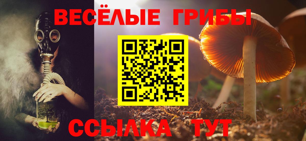 Кубинка  Псилоцибиновые грибы Psilocybine cubensis  Вход с VPN 